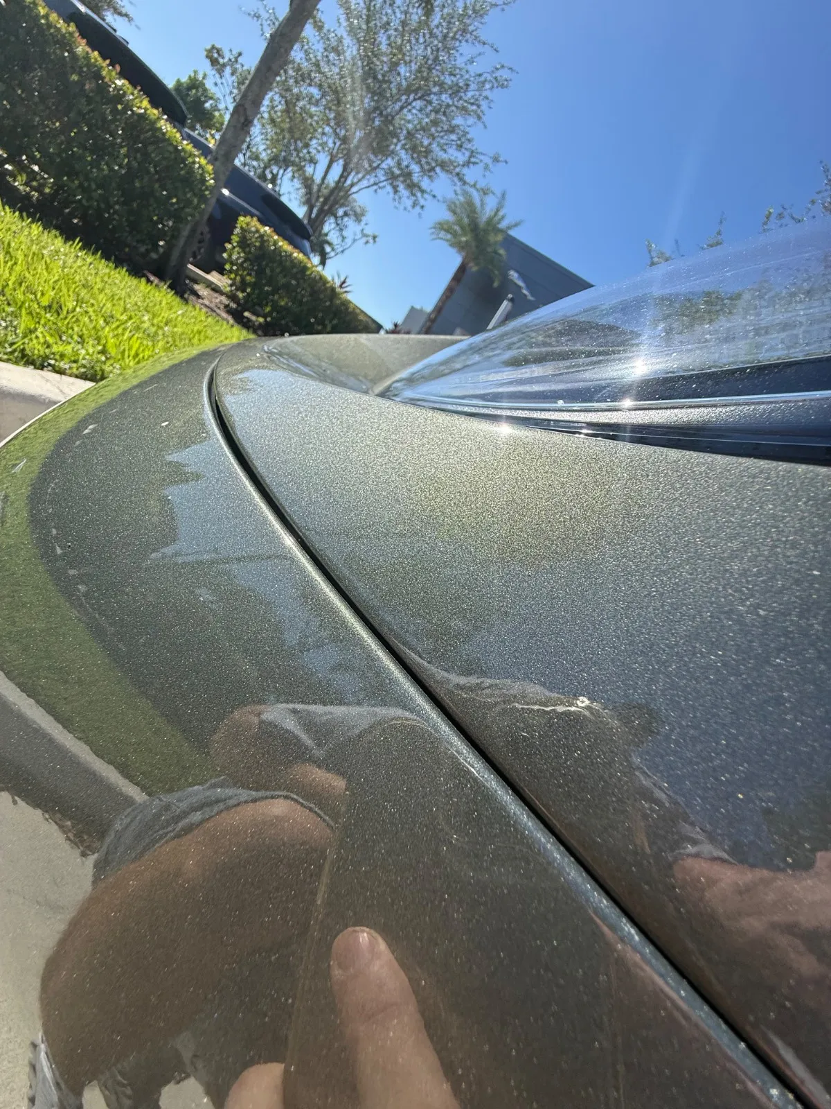Repainted / repaired panel · Front bumper, Hood, Left front fender 4